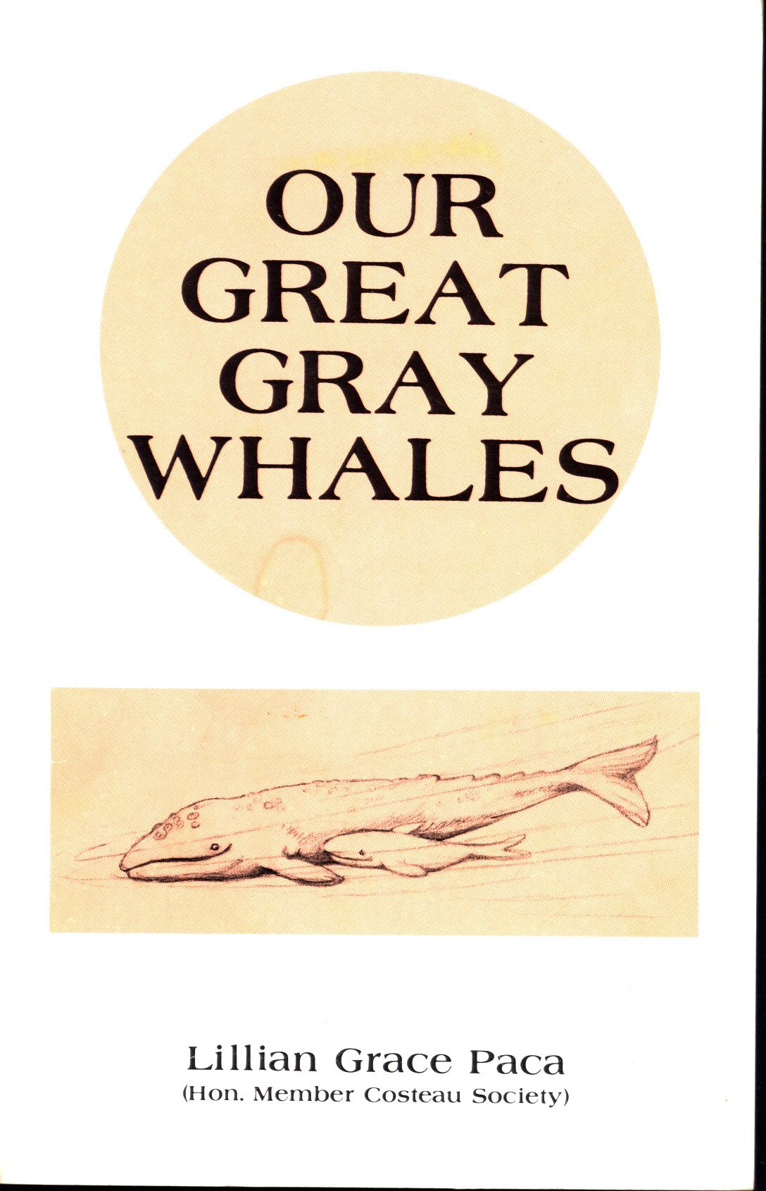 OUR GREAT GRAY WHALES.